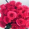 annie_1504