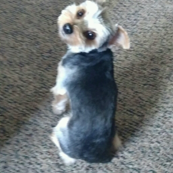 jnjaxx