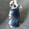 jnjaxx