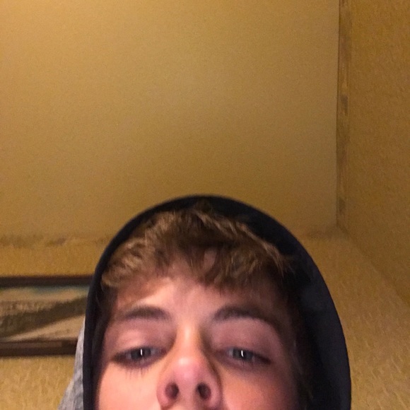 andrewshivell