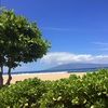 the_account09