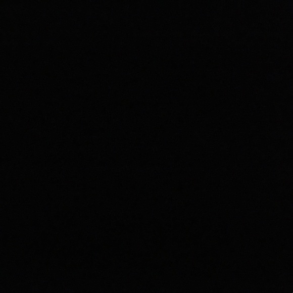 carlosfsu