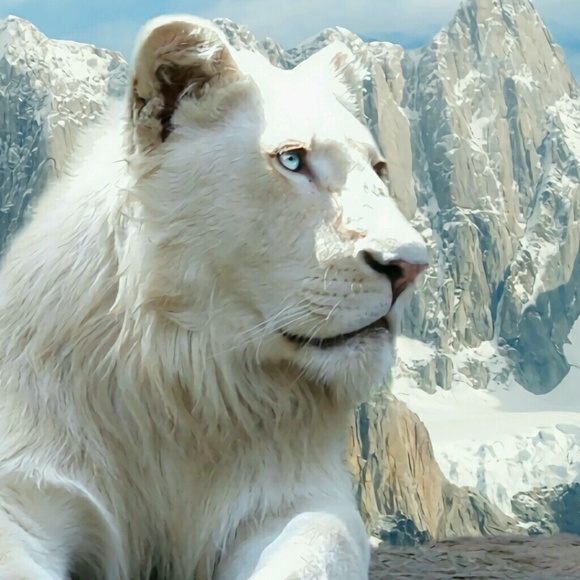 capricorn_baby