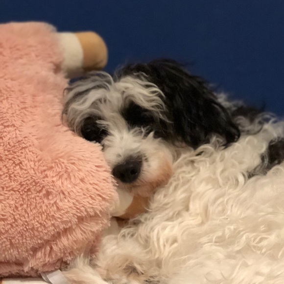 mynametilly