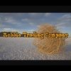 robbietradingco