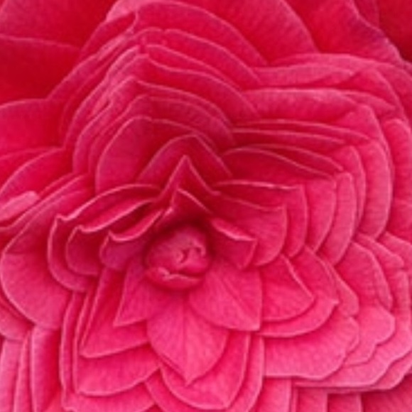 mariedeanna