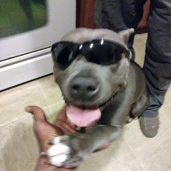 lilruff3033