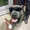 lilruff3033