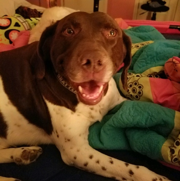 champcooper