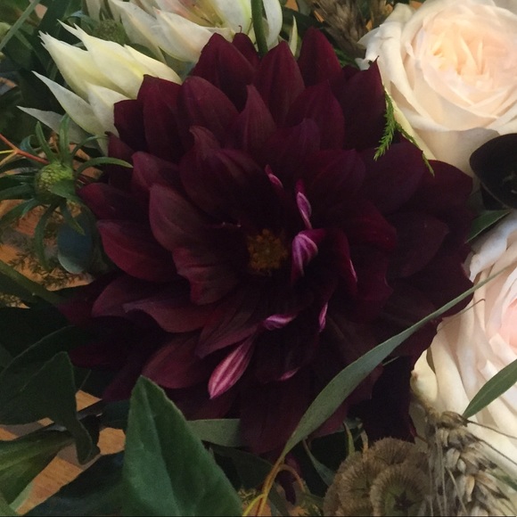 blackdahlia11