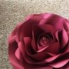geysha23