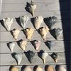shellbell061