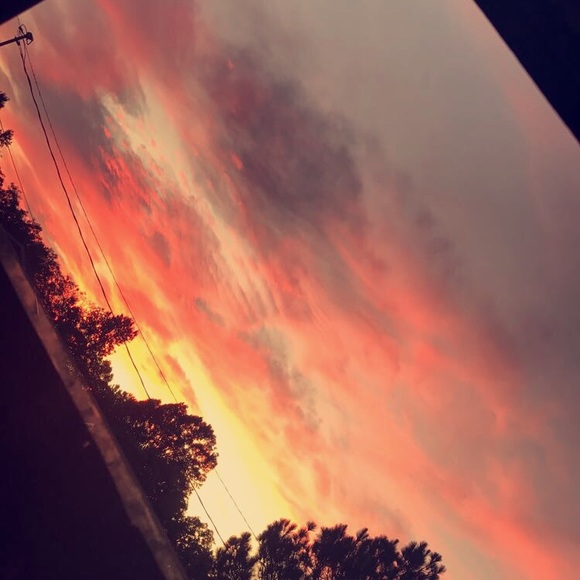 taylorm_211