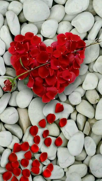 loveukids_1