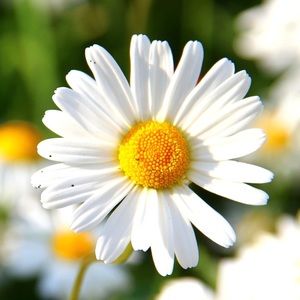 Michelle C's Closet (@michellephants1) | Poshmark