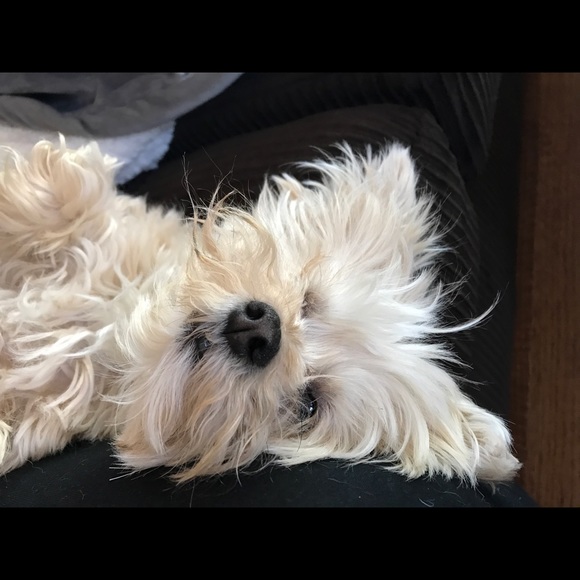 annabellemaisy5