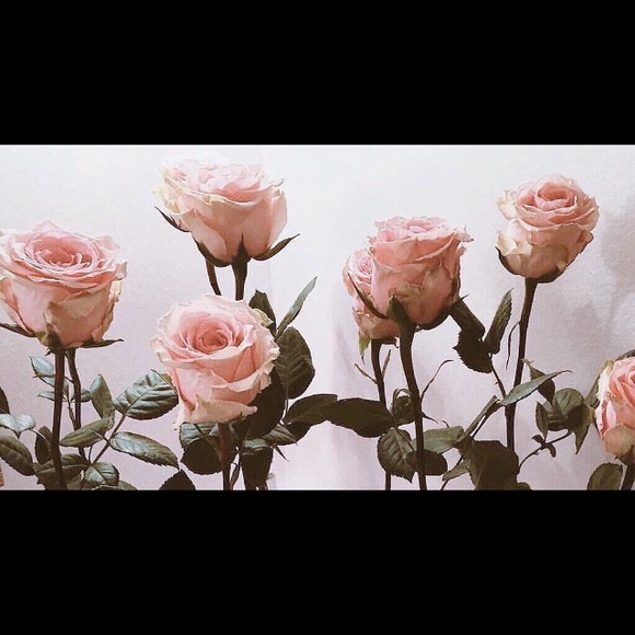 winterrose32