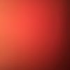 jose028