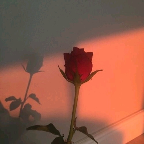 celest_29