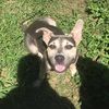 amanda090917