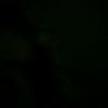 alex__l