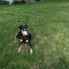 bubbandlucy