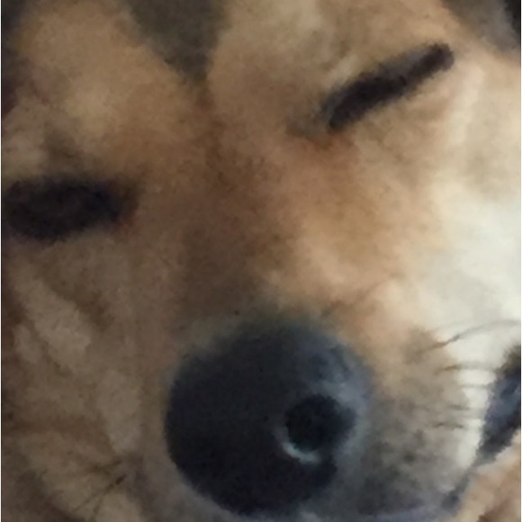 evanhro