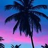 mar_abu1