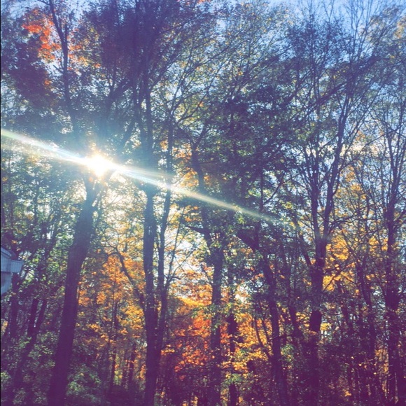 stalynf77