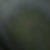 zxcvbnmjose