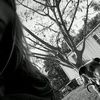 xo_sed
