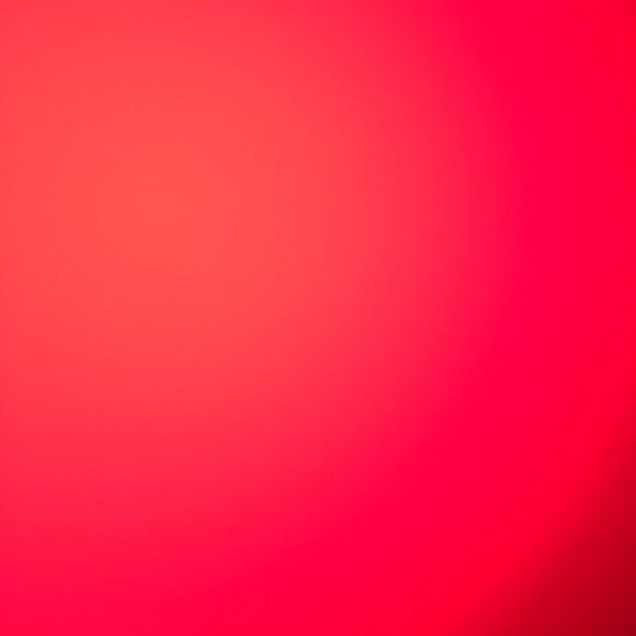 andy_schell12