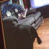 gracemorse49