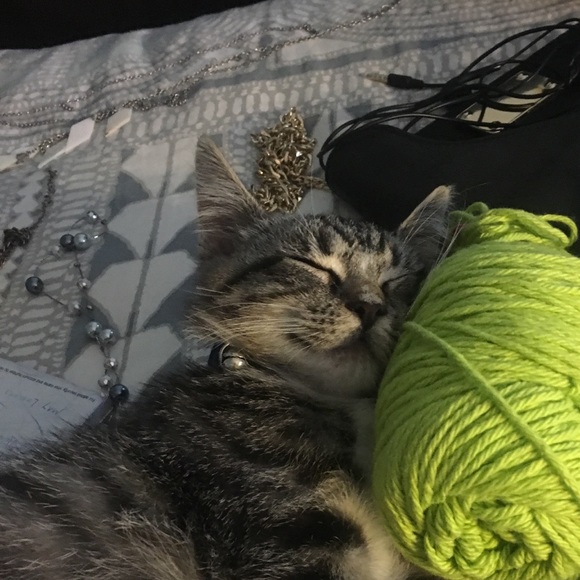 h_elliott06