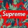 supremestrat