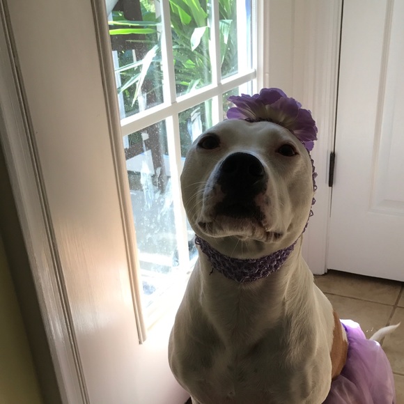 marilynmoo0422