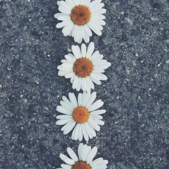 nattttt05