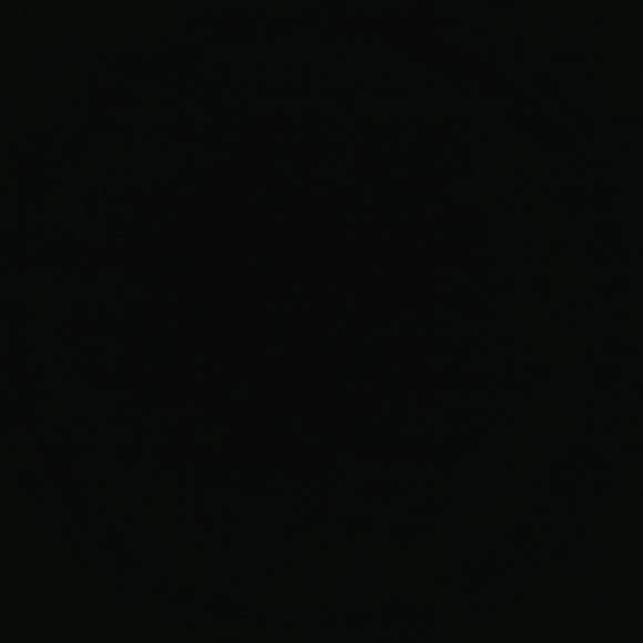 janet1003