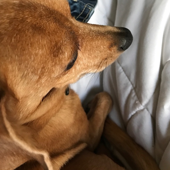 mstolfus