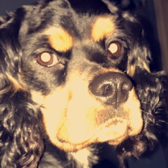 owenb5