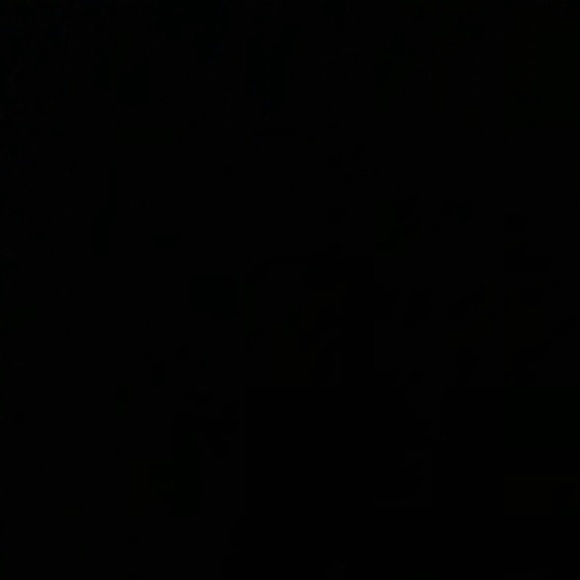 vannesalazarr