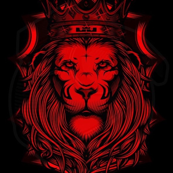 lionkingjames17