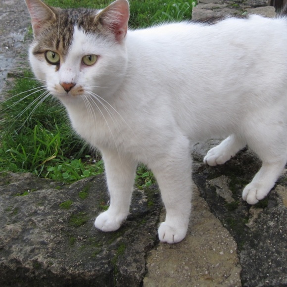 sarahwy2004