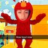 taz_1314