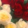 loulou716