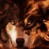alphawolf10