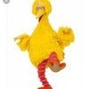 bigbird_23