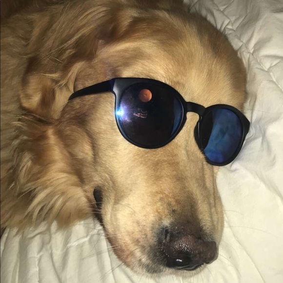 rogamurph