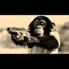 luckiemonkey