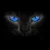 joshbell_1